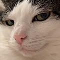 https://forumstatic.ru/files/001c/84/ea/29124.png