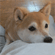 https://forumstatic.ru/files/001c/84/ea/32948.gif