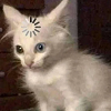https://forumstatic.ru/files/001c/84/ea/73830.png