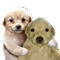https://forumstatic.ru/files/001c/88/28/13070.png