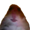 https://forumstatic.ru/files/001c/88/28/16688.png