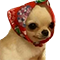 https://forumstatic.ru/files/001c/88/28/21719.png