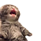 https://forumstatic.ru/files/001c/88/28/32355.png