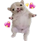 https://forumstatic.ru/files/001c/88/28/34916.png
