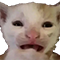 https://forumstatic.ru/files/001c/88/28/41548.png