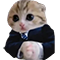 https://forumstatic.ru/files/001c/88/28/45021.png