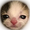 https://forumstatic.ru/files/001c/88/28/54925.png