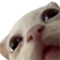 https://forumstatic.ru/files/001c/88/28/67439.png
