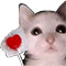 https://forumstatic.ru/files/001c/88/28/76955.png
