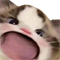 https://forumstatic.ru/files/001c/88/28/93020.png