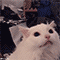 https://forumstatic.ru/files/001c/88/d4/17980.gif