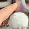 https://forumstatic.ru/files/001c/88/d4/41983.gif