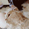 https://forumstatic.ru/files/001c/88/d4/67995.gif