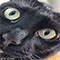 https://forumstatic.ru/files/001c/88/d4/86168.gif