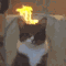 https://forumstatic.ru/files/001c/89/f8/10832.gif