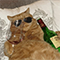https://forumstatic.ru/files/001c/89/f8/24563.png