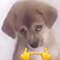https://forumstatic.ru/files/001c/89/f8/37019.png