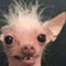 https://forumstatic.ru/files/001c/89/f8/37131.png