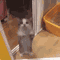 https://forumstatic.ru/files/001c/89/f8/43891.gif