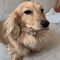 https://forumstatic.ru/files/001c/89/f8/75319.gif