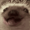 https://forumstatic.ru/files/001c/89/f8/80462.gif