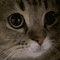 https://forumstatic.ru/files/001c/89/f8/82844.gif
