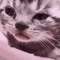 https://forumstatic.ru/files/001c/89/f8/94059.gif