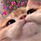 https://forumstatic.ru/files/001c/89/f8/95988.png