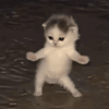 https://forumstatic.ru/files/001c/8a/8a/12004.gif