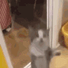 https://forumstatic.ru/files/001c/8a/8a/20118.gif
