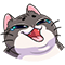 https://forumstatic.ru/files/001c/a2/30/90663.png