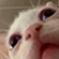 https://forumstatic.ru/files/001c/aa/e5/44566.png