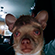 https://forumstatic.ru/files/001c/aa/e5/52570.png