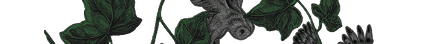 https://forumstatic.ru/files/001c/ab/7e/69786.png