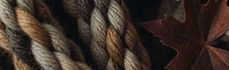 https://forumstatic.ru/files/001c/b3/e9/20127.png