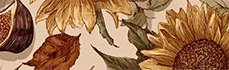 https://forumstatic.ru/files/001c/b3/e9/31394.png