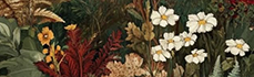 https://forumstatic.ru/files/001c/b3/e9/32967.png