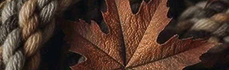 https://forumstatic.ru/files/001c/b3/e9/38502.png