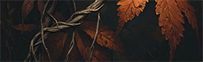 https://forumstatic.ru/files/001c/b3/e9/40557.png