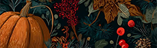 https://forumstatic.ru/files/001c/b3/e9/52210.png