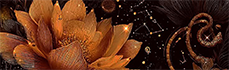 https://forumstatic.ru/files/001c/b3/e9/52909.png