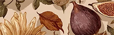 https://forumstatic.ru/files/001c/b3/e9/96182.png