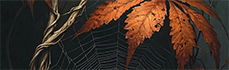 https://forumstatic.ru/files/001c/b3/e9/97989.png