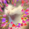 https://forumstatic.ru/files/001c/bf/ee/54938.png