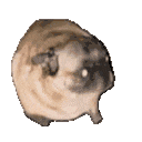 https://forumstatic.ru/files/001c/c0/01/93700.gif