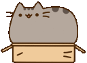 https://forumstatic.ru/files/001c/c4/9a/22811.gif