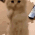 https://forumstatic.ru/files/001c/c4/9a/32409.gif