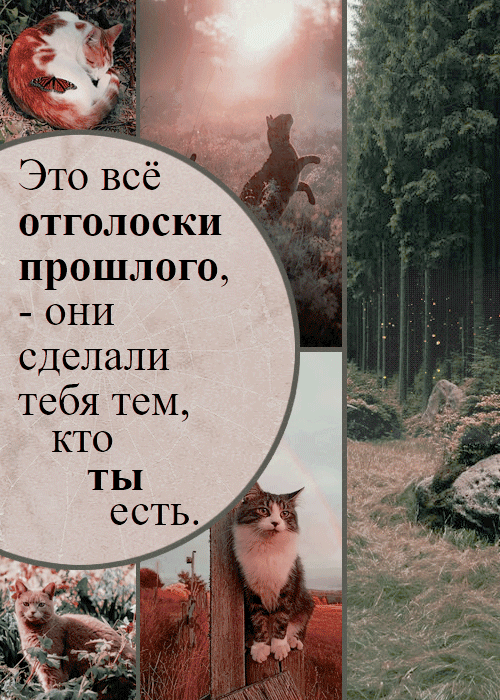 https://forumupload.ru/uploads/001c/34/47/3/915013.gif
