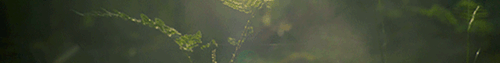https://forumstatic.ru/uploads/001c/55/b9/2/329054.gif
